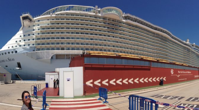 The Mediterranean Cruise Experience