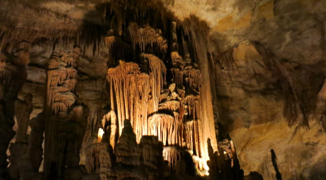 Concert in the Cave
